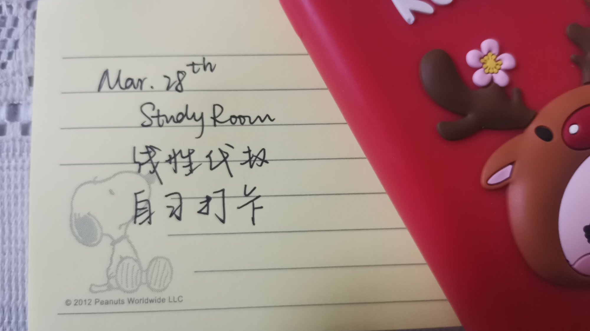 Study Room& Self-discipline
